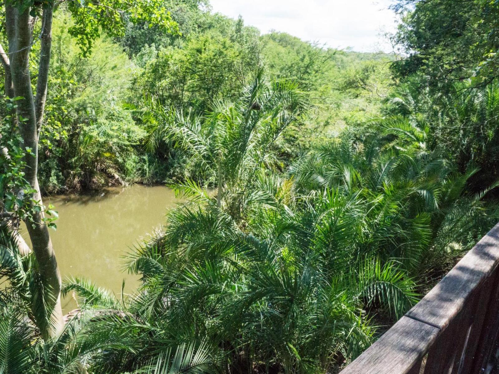 Simunye Mbuluzi Game Reserve חדר תמונה